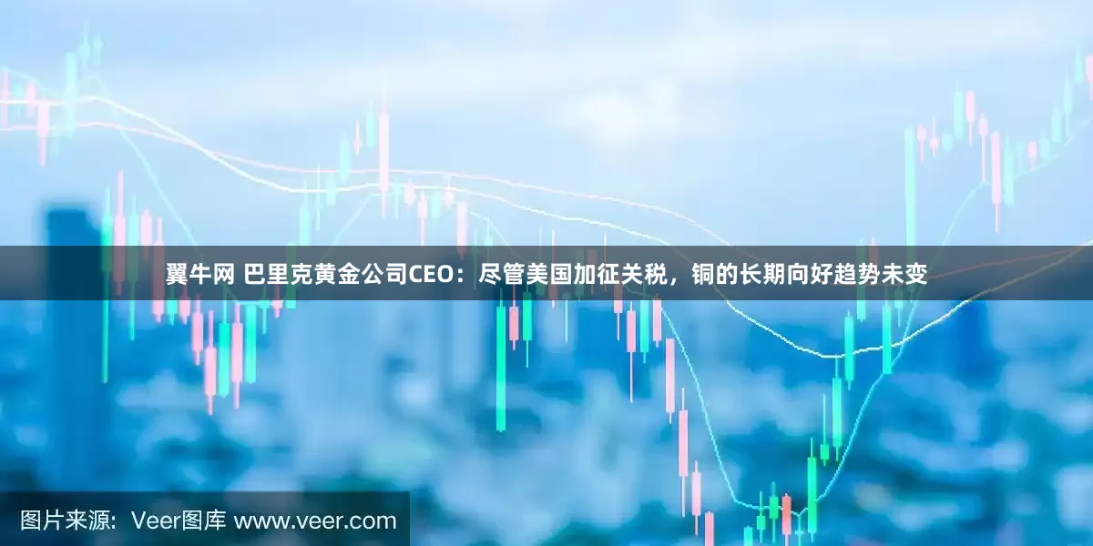 翼牛网 巴里克黄金公司CEO：尽管美国加征关税，铜的长期向好趋势未变